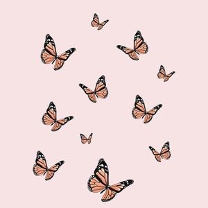 Meet your Posher, Kyara